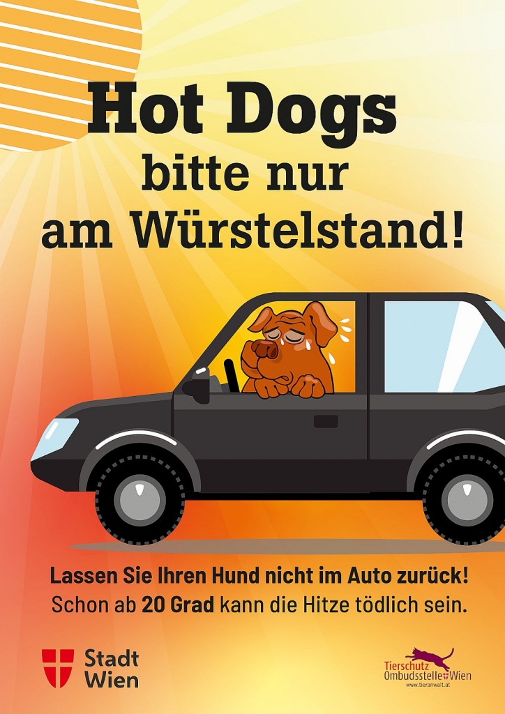 Hunde Hitze Auto